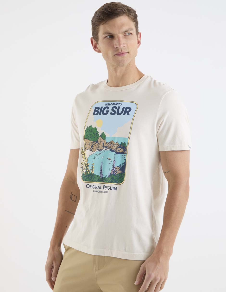 Playera cuello redondo para hombre