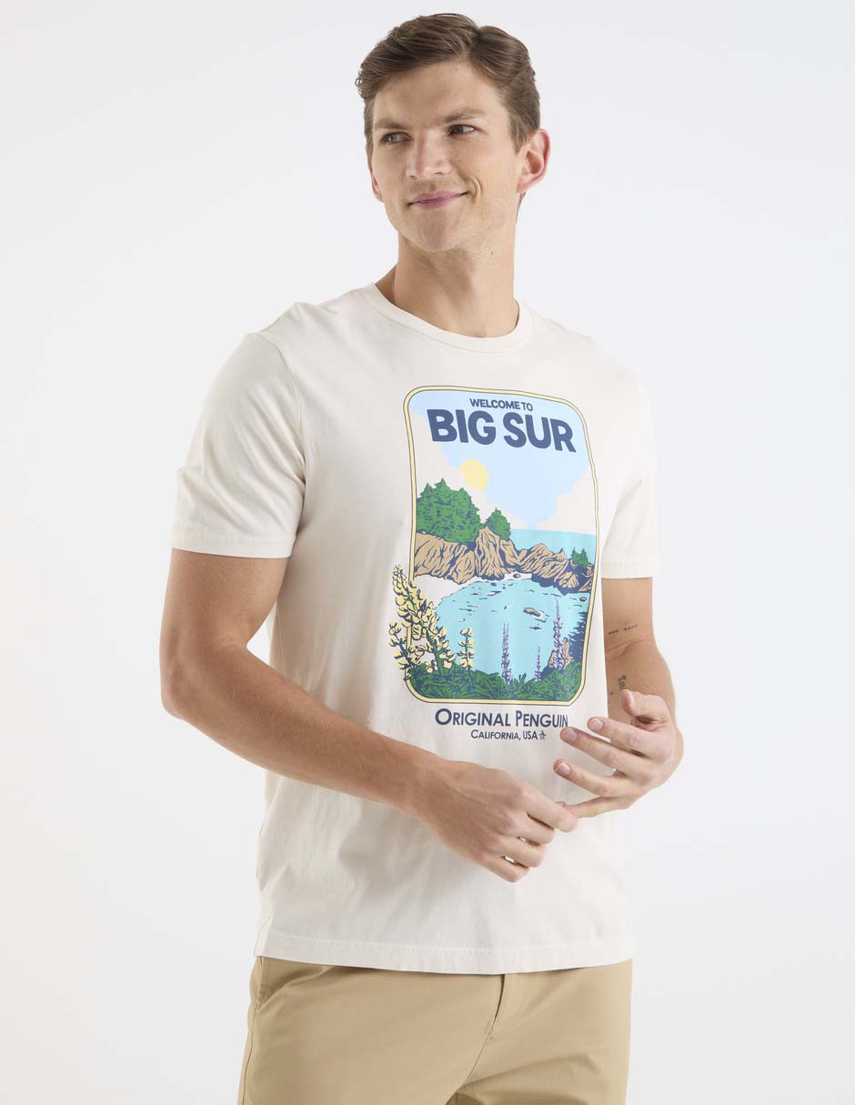 Playera cuello redondo para hombre 5