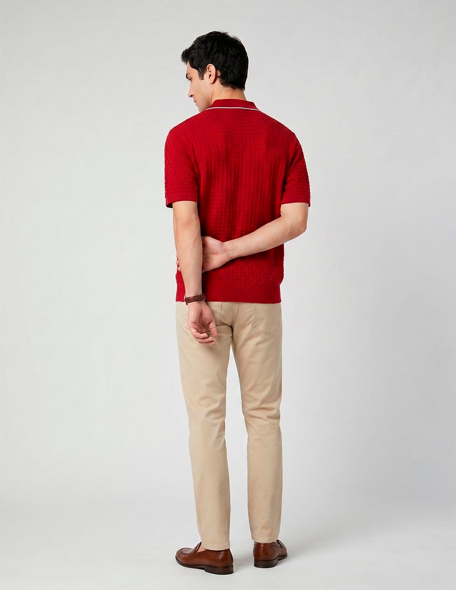 Playera tipo polo para hombre 2
