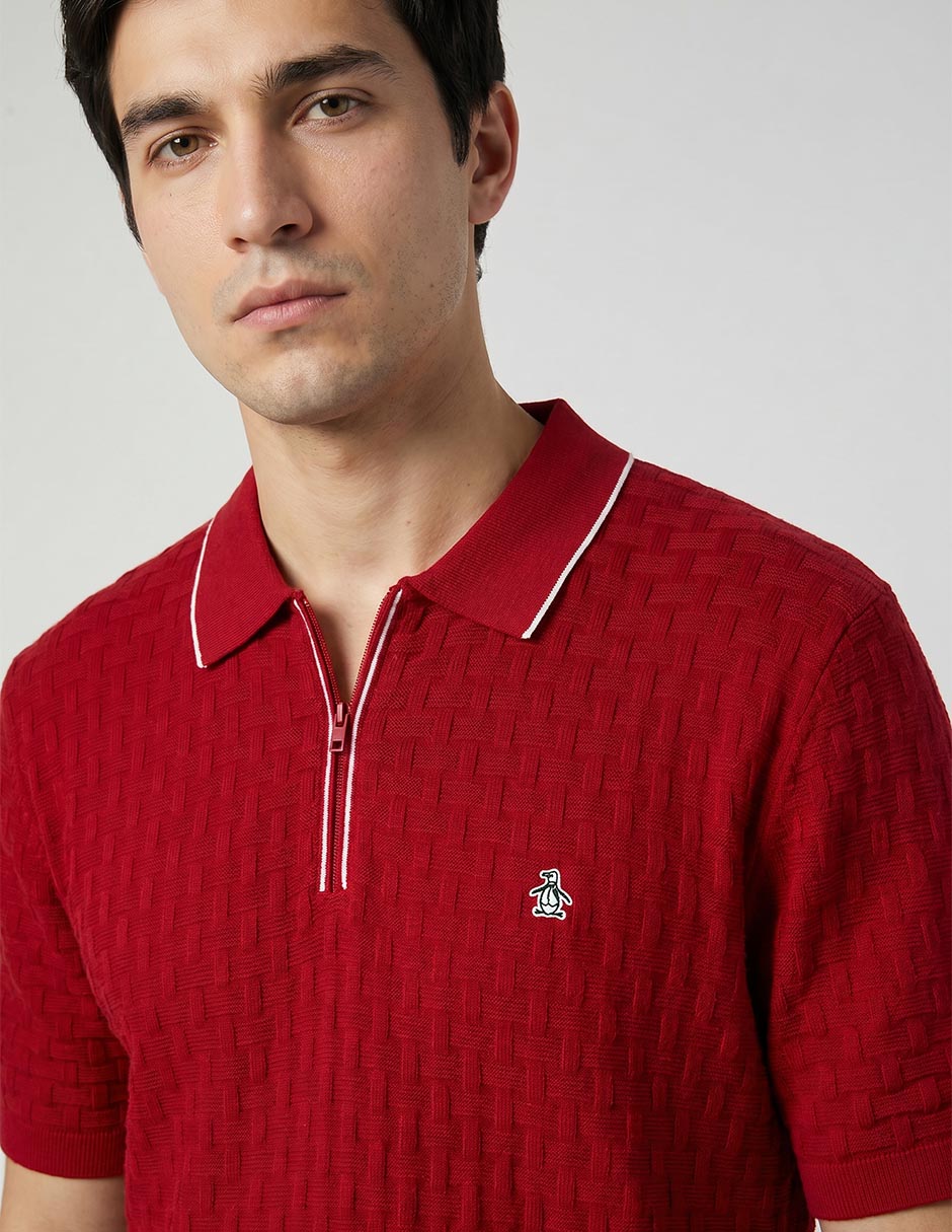Playera tipo polo para hombre 4