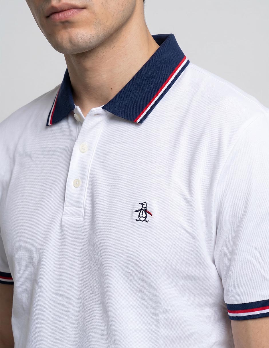 Playera tipo polo para hombre 2
