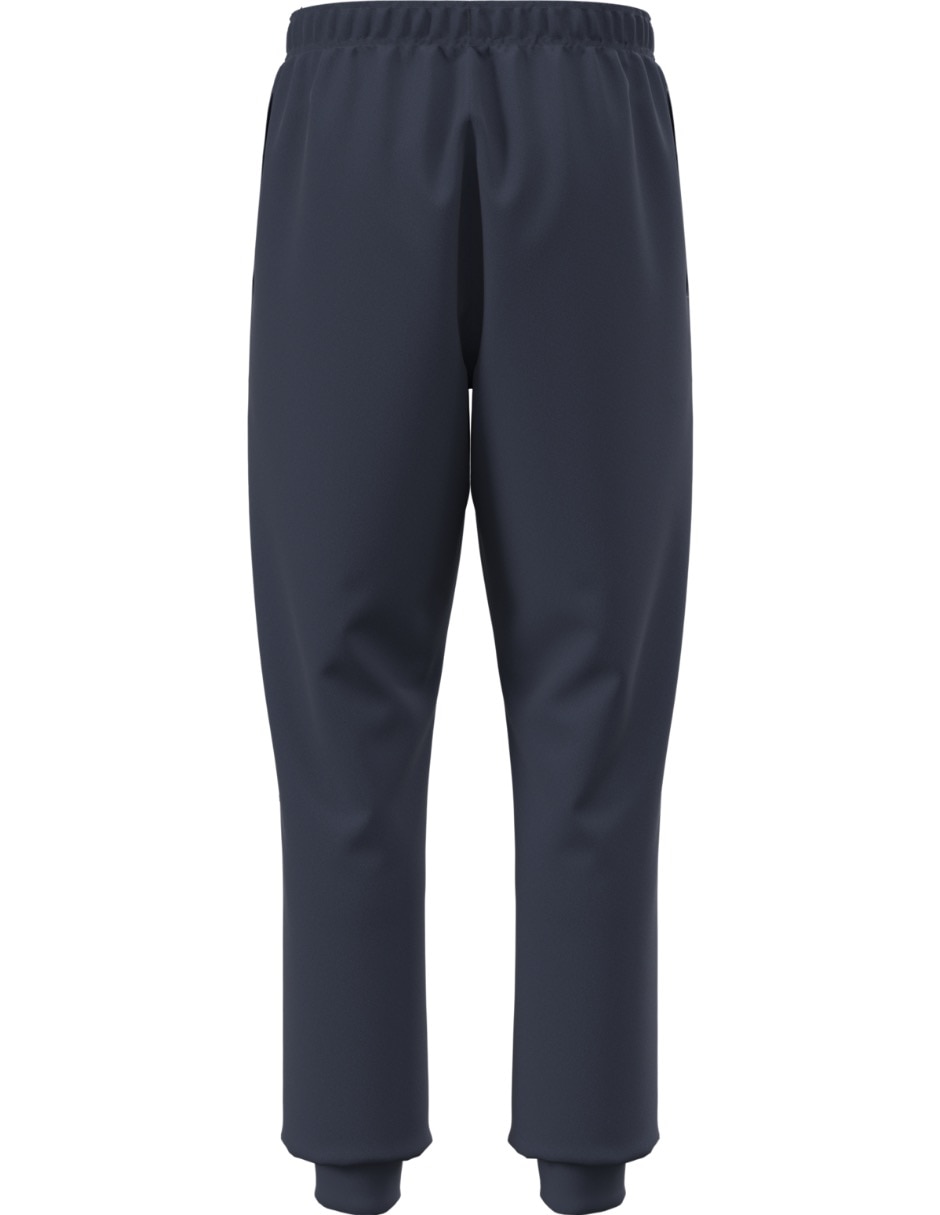 Jogger regular the north face m evolution simple dome regular jogger para hombre