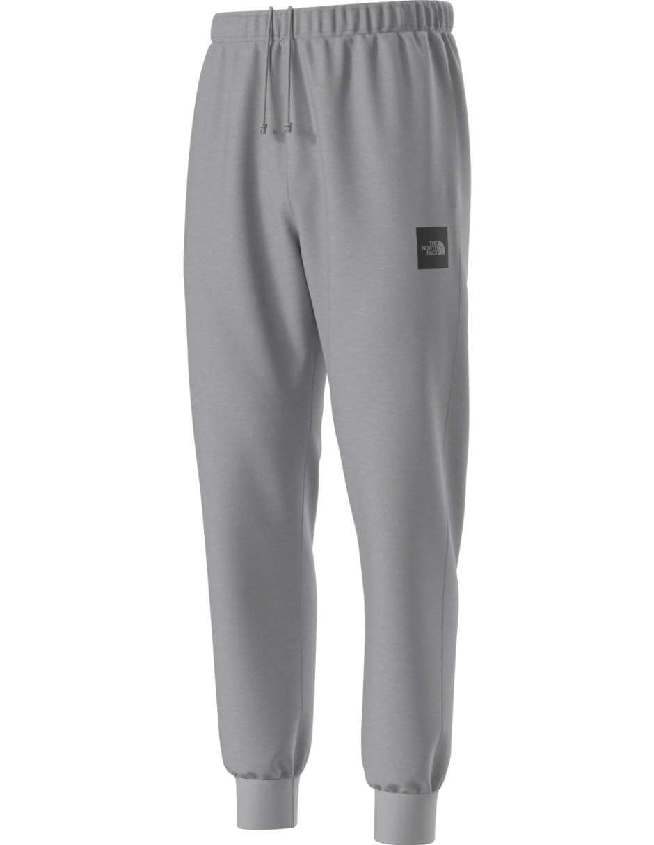 Jogger regular the north face m evo box half dome regular tapered para hombre