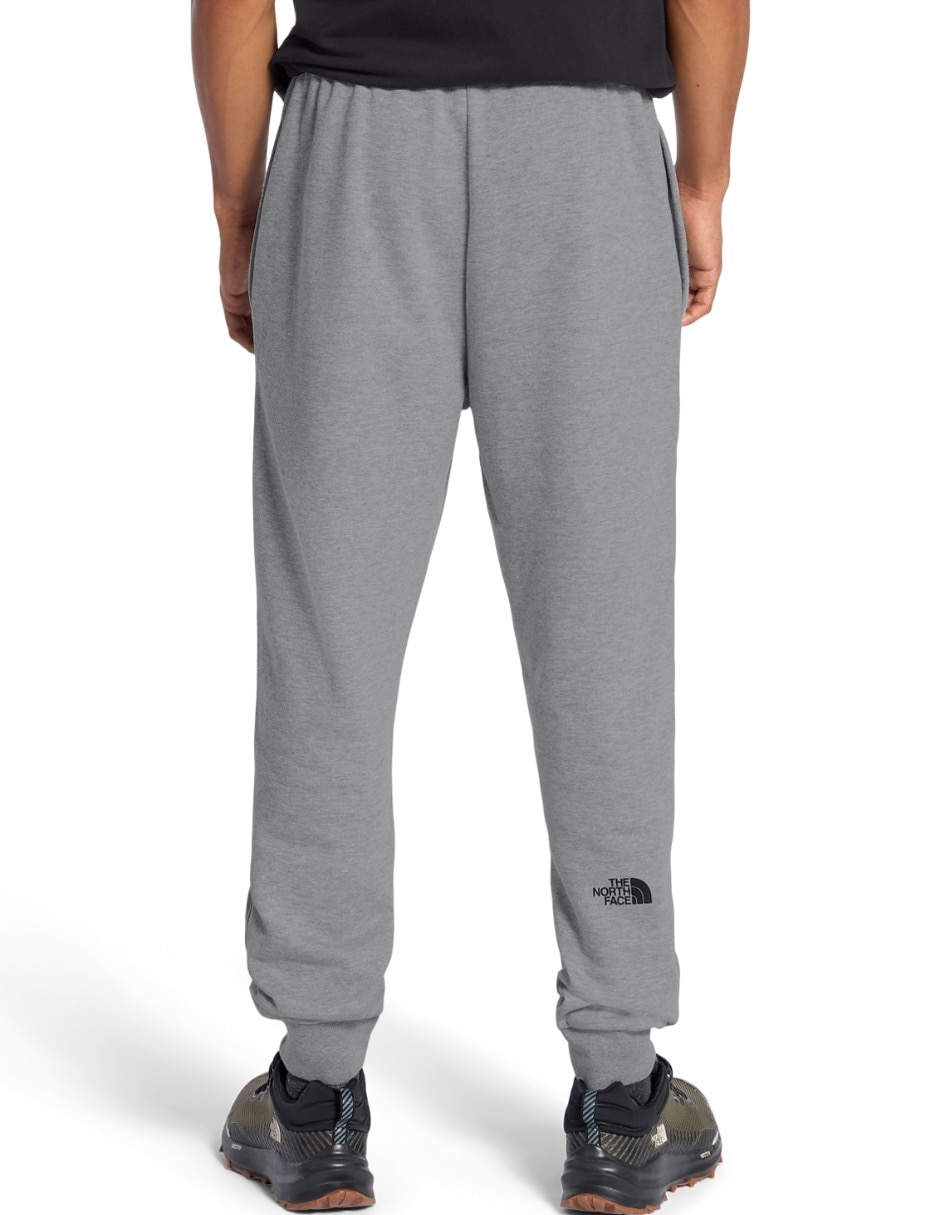 Jogger regular the north face m evo box half dome regular tapered para hombre