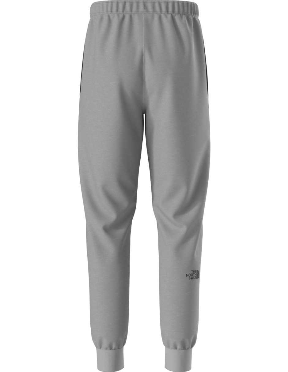 Jogger regular the north face m evo box half dome regular tapered para hombre