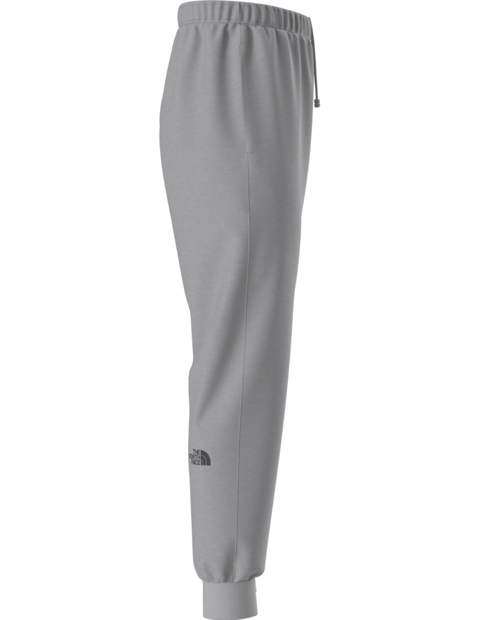 Jogger regular the north face m evo box half dome regular tapered para hombre