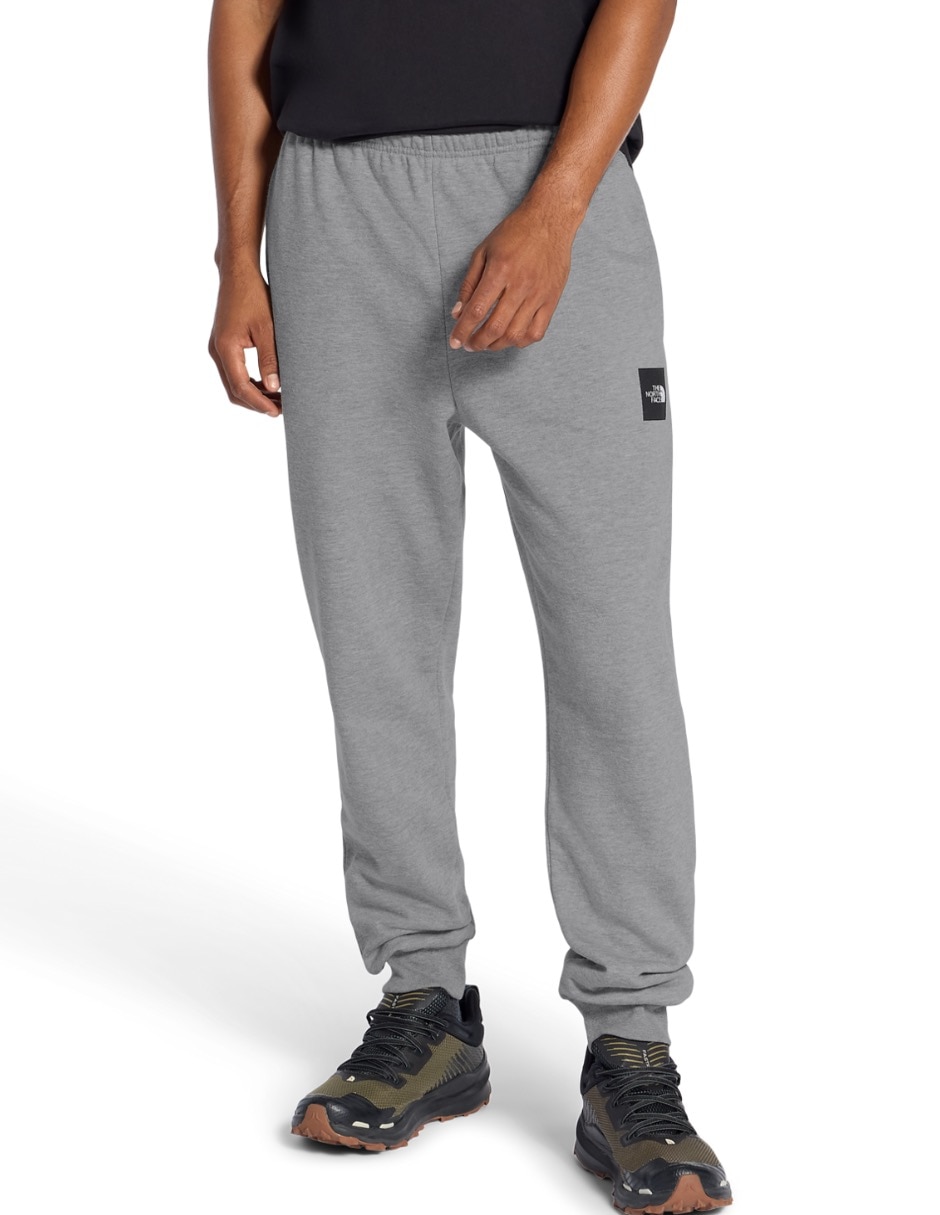 Jogger regular the north face m evo box half dome regular tapered para hombre