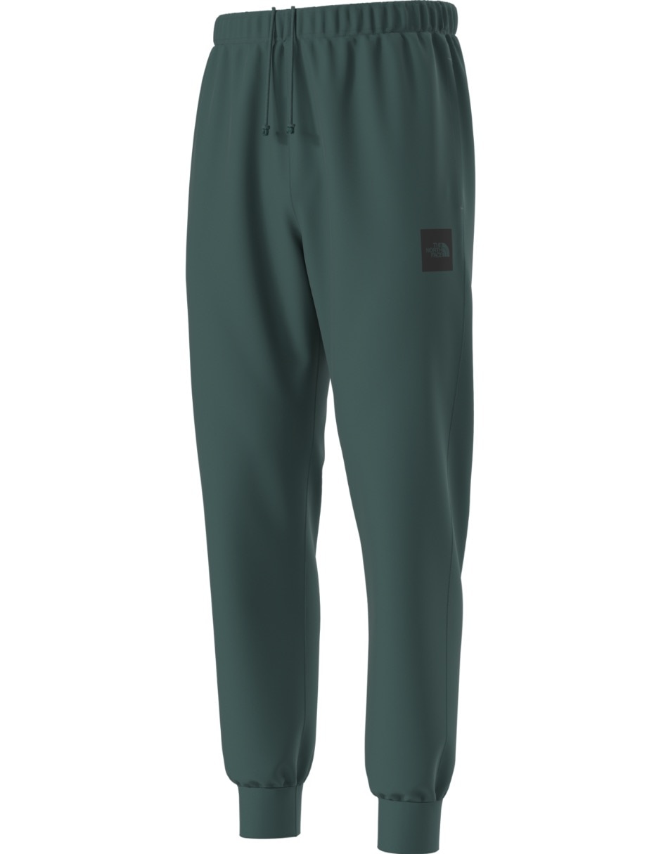 Jogger regular the north face m evo box half dome regular tapered para hombre