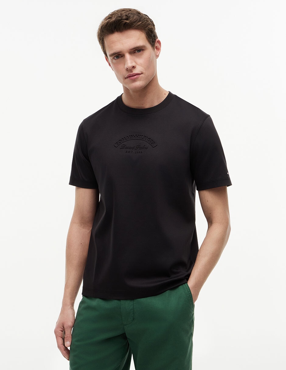 Playera Tommy Hilfiger Summer graphic cuello redondo para hombre