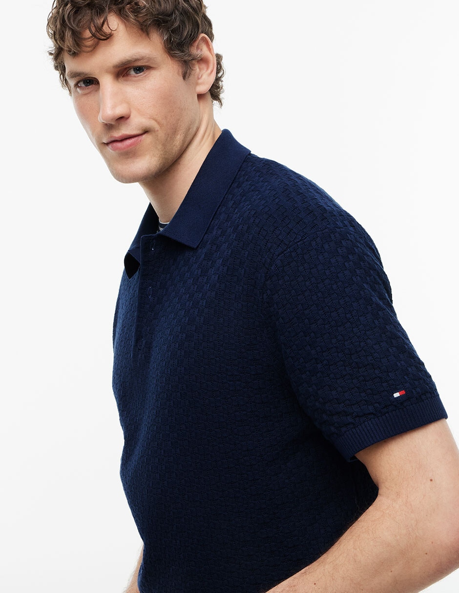 Playera tipo polo para hombre 2