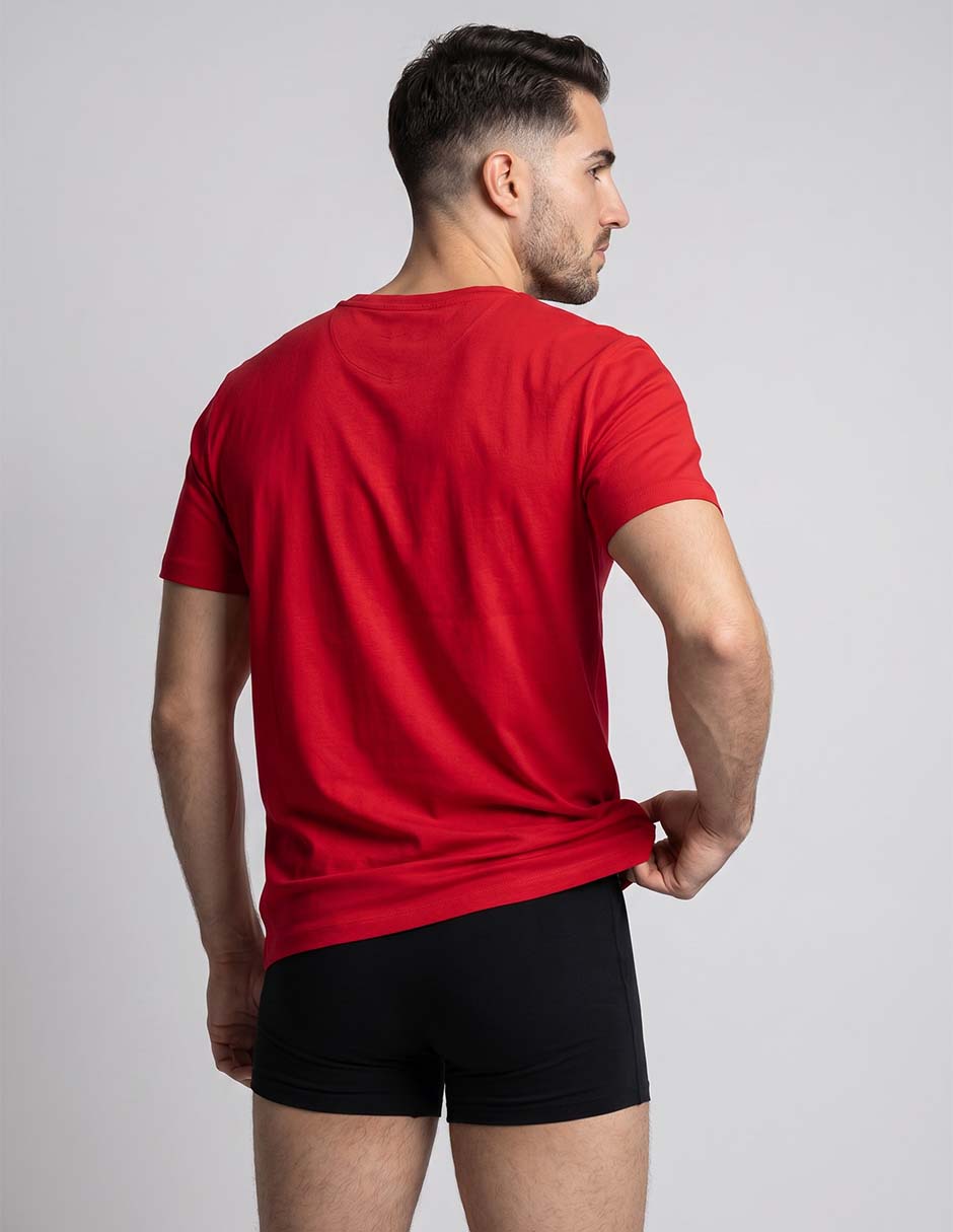 Set playera Hugo cuello V para hombre