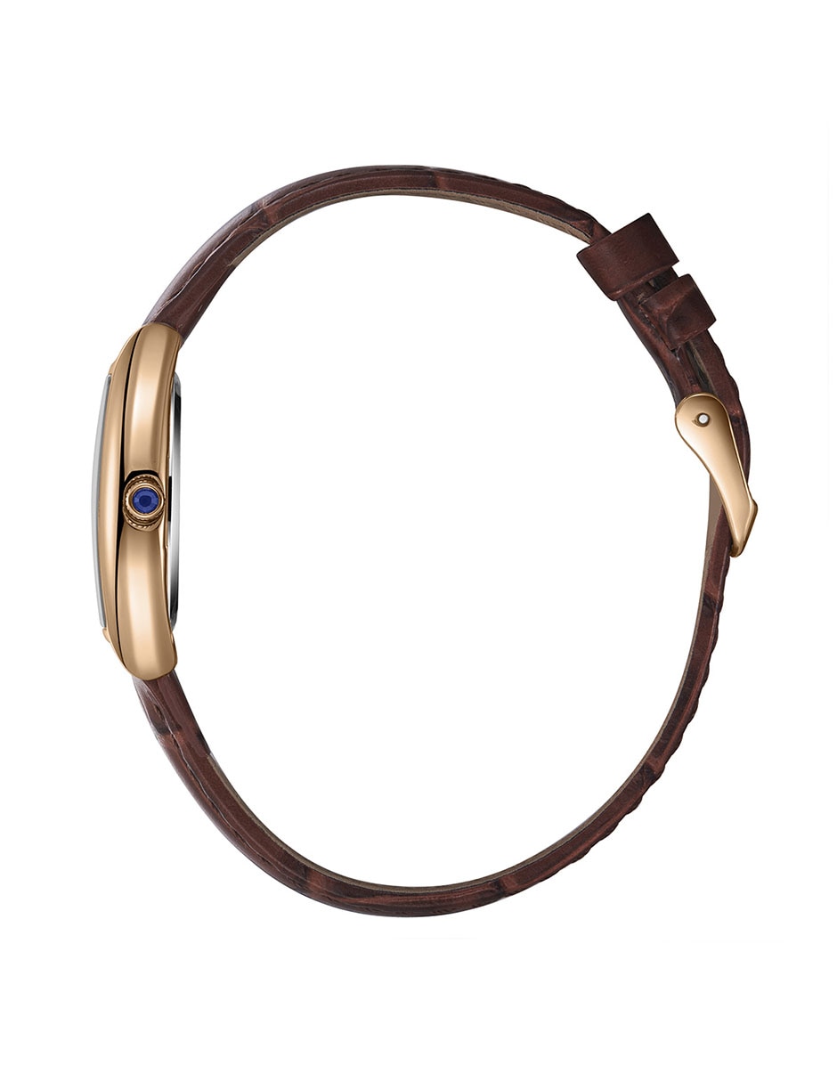 Reloj Lee Cooper Brown Collection para mujer LC08315.462